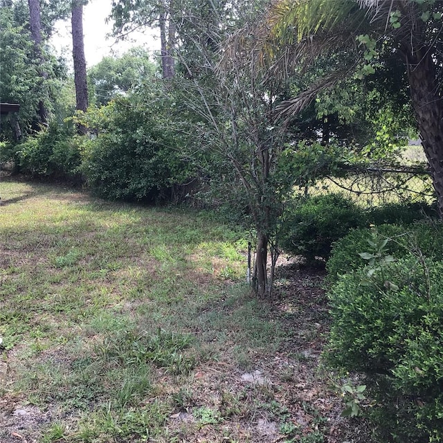 3152 Clewiston St, Deltona, FL 32738 - view of yard