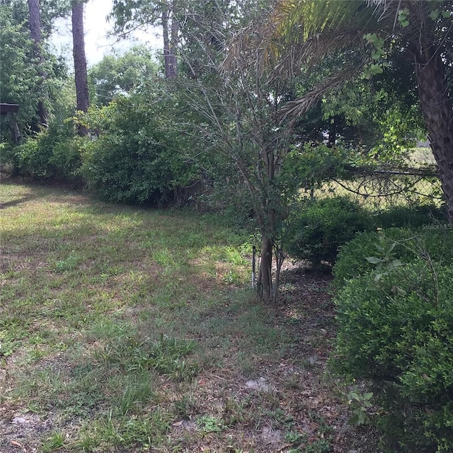 3152 Clewiston St, Deltona, FL 32738 - view of yard