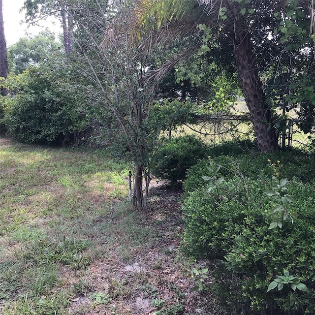 3152 Clewiston St, Deltona, FL 32738 - view of undeveloped land