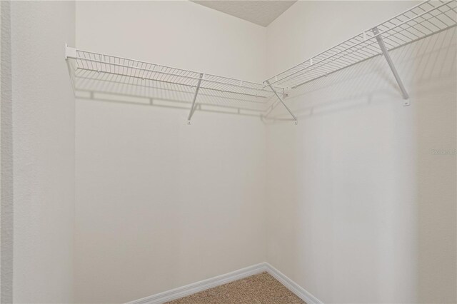 17081 Water Spring Blvd, Winter Garden, FL 34787 - spacious closet featuring carpet