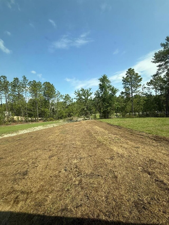 13265 SW 85th Cir, Ocala, FL 34473 - photo 3