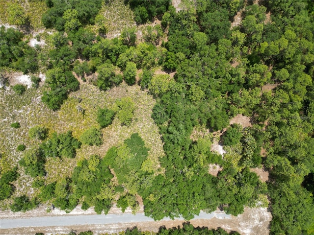 0 Gardenia Dr, Indian Lake Estates, FL 33855 - photo 9
