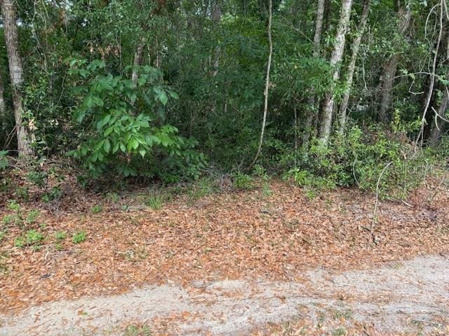 0 SE 63rd Ave, Summerfield, FL 34491
