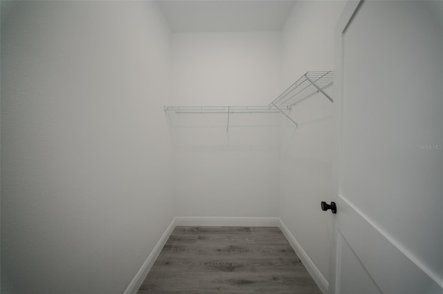 spacious closet featuring wood finished floors