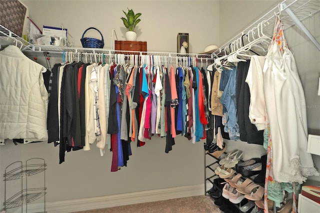 view of spacious closet
