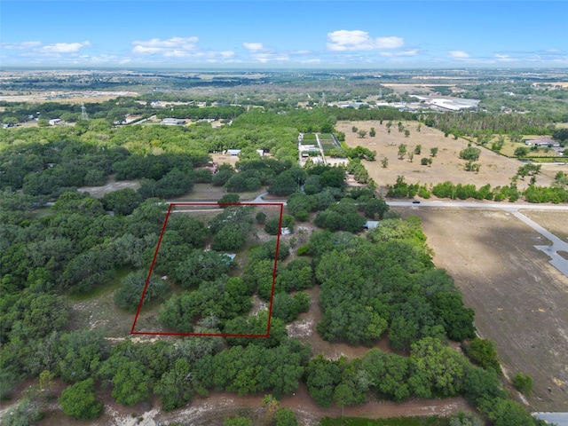 4521 Avalon Rd, Winter Garden, FL 34787