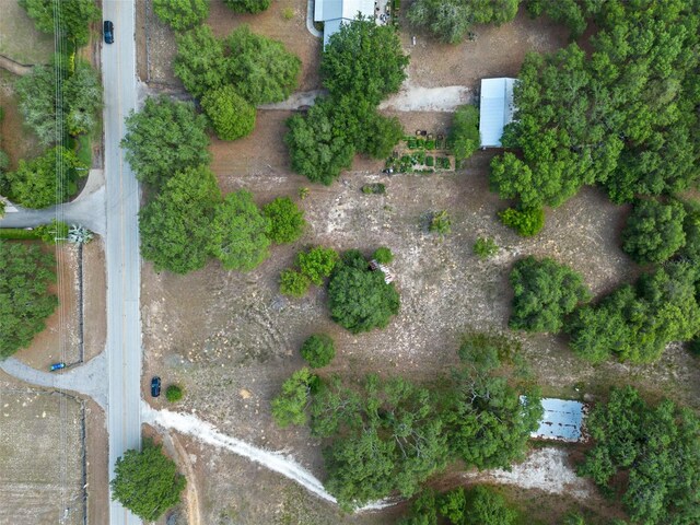 4521 Avalon Rd, Winter Garden, FL 34787