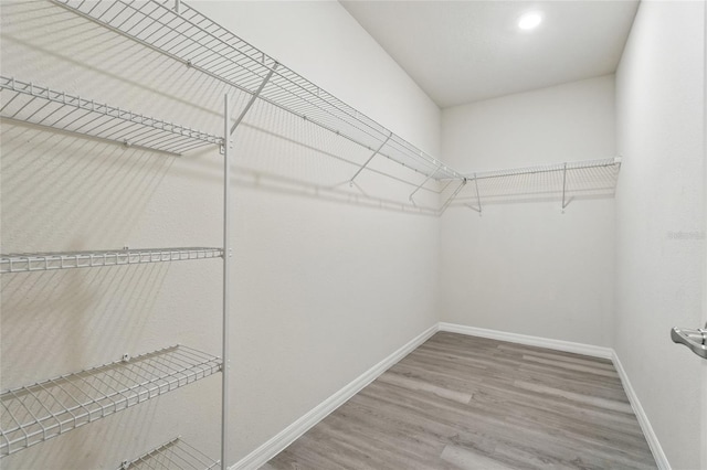 walk in closet featuring wood finished floors