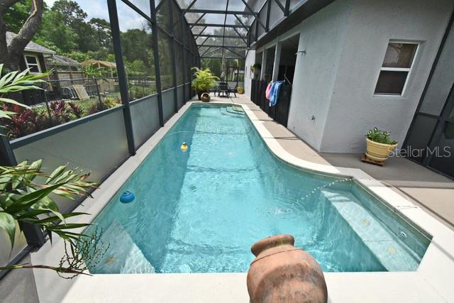 view of swimming pool with a patio and a lanai
