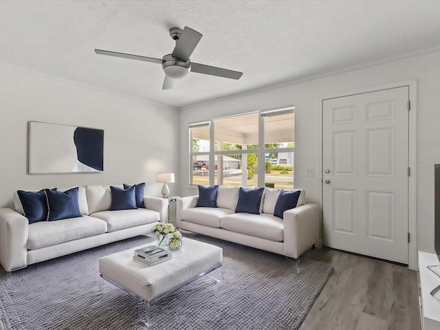 living room featuring light wood-type flooring, crown molding, and ceiling fan