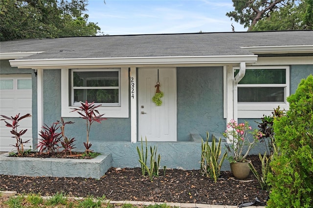 2824 Oaklawn Ave, Largo, FL 33771 - photo 4