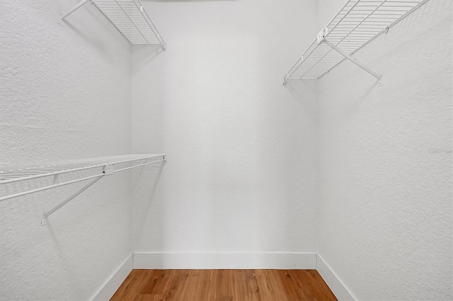 walk in closet featuring wood finished floors