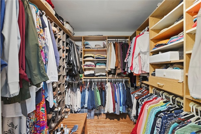 628 Riverpark Cir, Longwood, FL 32779 - view of walk in closet
