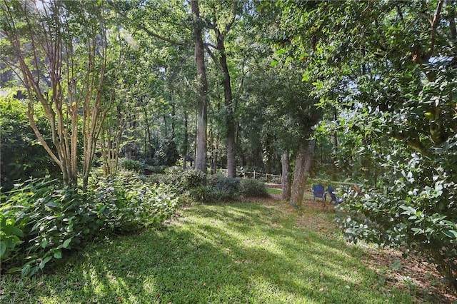 628 Riverpark Cir, Longwood, FL 32779 - view of green lawn featuring a wooded view