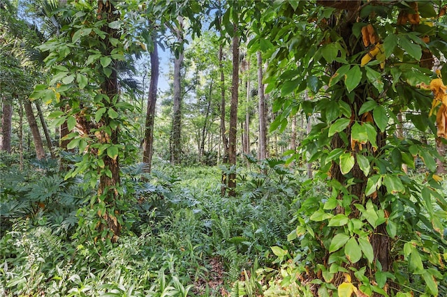 628 Riverpark Cir, Longwood, FL 32779 - view of nature