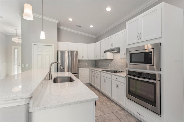 1602 W Caroline Path, Lecanto, FL 34461 - kitchen featuring appliances with stainless steel finishes, a sink, ornamental molding, under cabinet range hood, and white cabinetry