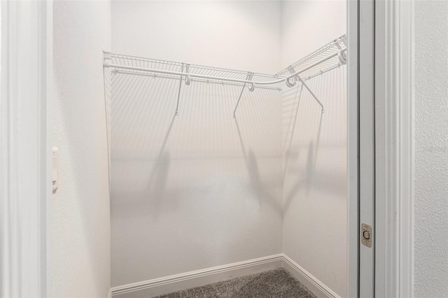 1602 W Caroline Path, Lecanto, FL 34461 - view of spacious closet