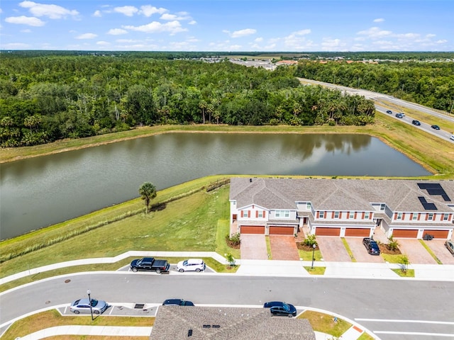 4829 Cedar Bay Ter, Kissimmee, FL 34746 - photo 49