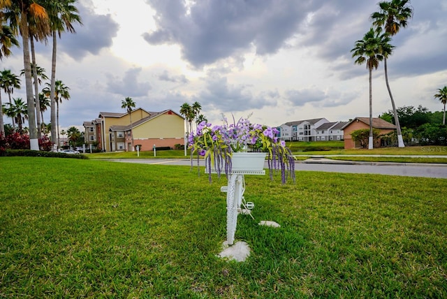 2208 Antigua Pl Unit 932, Kissimmee, FL 34741 - view of grassy yard with a residential view