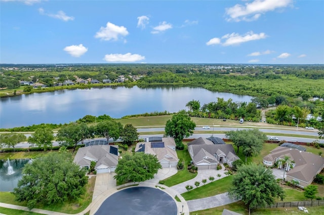 12411 Scarlett Sage Ct, Winter Garden, FL 34787 - aerial perspective of suburban area featuring a large body of water and a forest