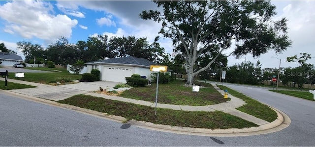 3628 Nettle Creek Ct, Holiday, FL 34691 - photo 24