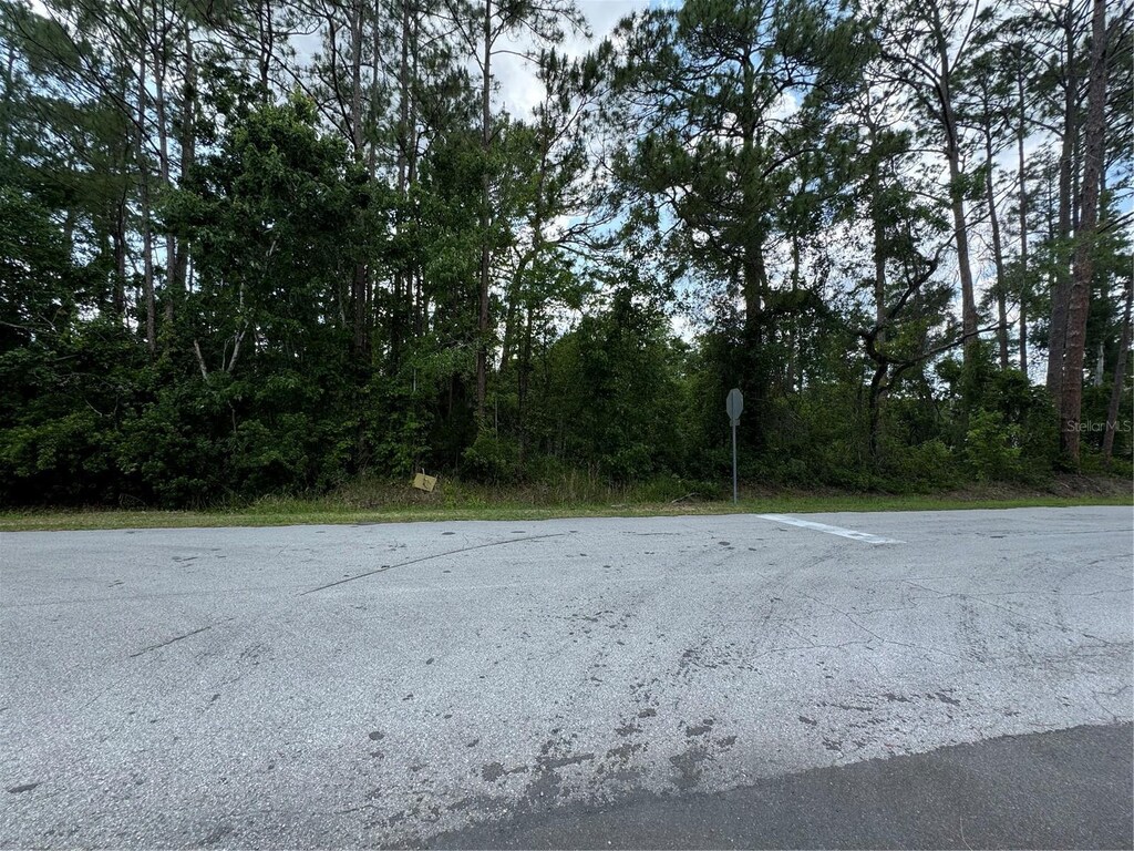 2030 1st Ave, Deland, FL 32724 - photo 2