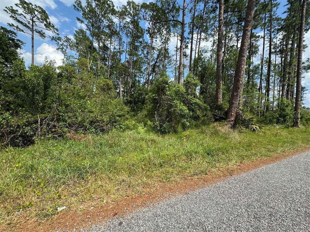 1465 5th Ave, Deland, FL 32724 - photo 2