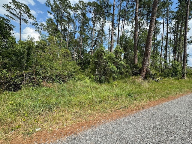 1465 5th Ave, Deland, FL 32724 - photo 2