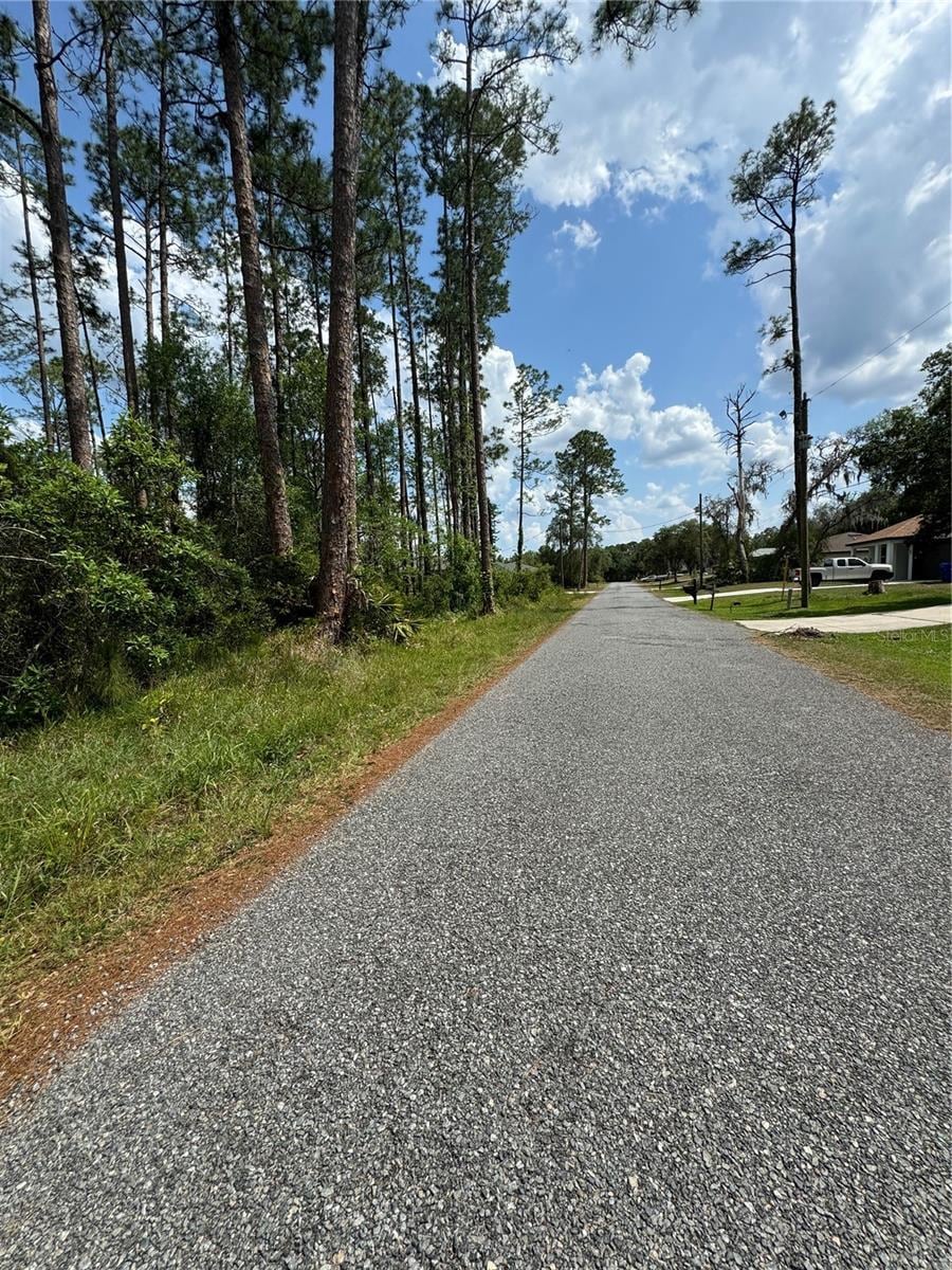 1465 5th Ave, Deland, FL 32724 - photo 3