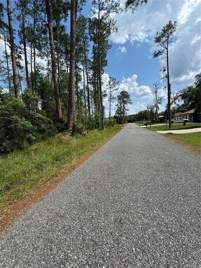 1465 5th Ave, Deland, FL 32724 - photo 3