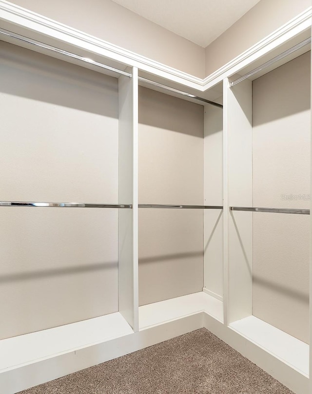 625 Pavia Loop, Lake Mary, FL 32746 - spacious closet with carpet flooring
