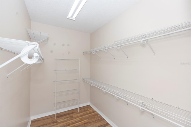 6728 Duncaster St, Windermere, FL 34786 - spacious closet featuring wood finished floors