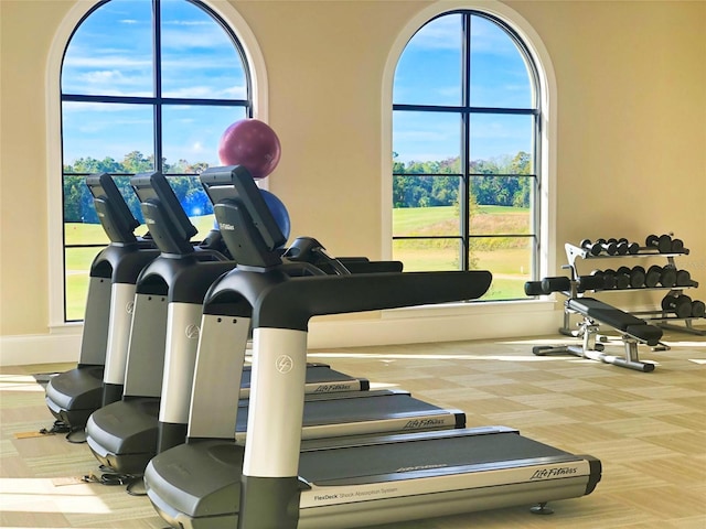exercise room with carpet flooring