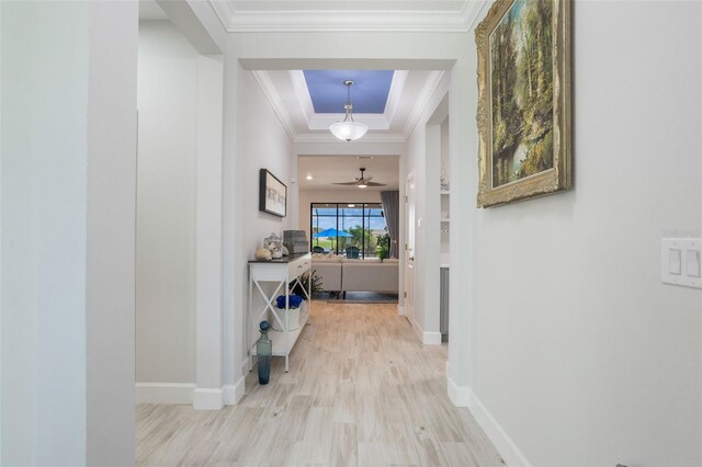 636 San Augusto Dr, Kissimmee, FL 34759 - corridor with wood finished floors, crown molding, baseboards, and a raised ceiling