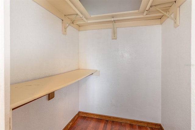 walk in closet with dark wood finished floors