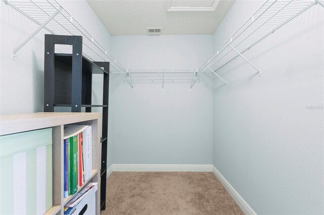 1978 Fishtail Fern Way, Ocoee, FL 34761 - walk in closet featuring carpet