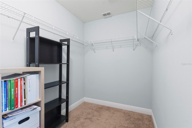 1978 Fishtail Fern Way, Ocoee, FL 34761 - walk in closet with carpet flooring