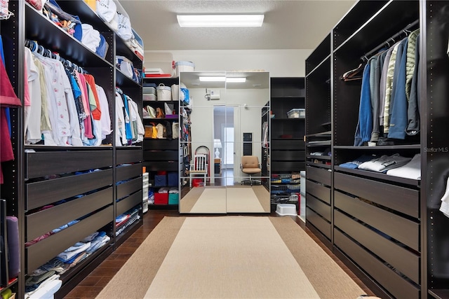 11706 Waterstone Loop Dr, Windermere, FL 34786 - view of spacious closet