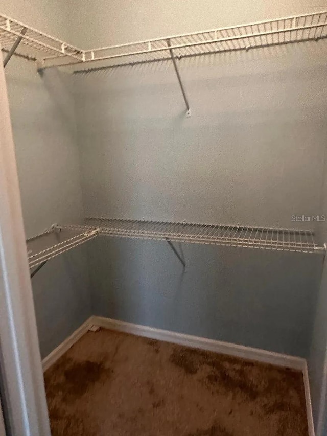 12610 Sawgrass Oak St, Orlando, FL 32824 - walk in closet with carpet floors