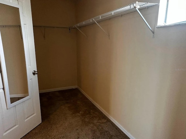 12610 Sawgrass Oak St, Orlando, FL 32824 - spacious closet featuring carpet