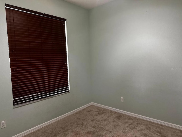 12610 Sawgrass Oak St, Orlando, FL 32824 - spare room with carpet floors and baseboards