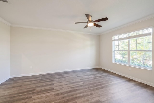 11941 Sonnet Ave, Orlando, FL 32832 - photo 7