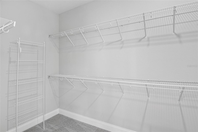 117 E Concord St Unit 7, Orlando, FL 32801 - walk in closet with carpet flooring