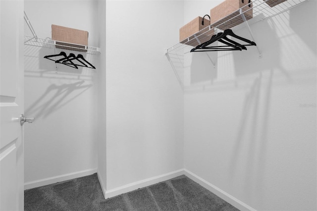 spacious closet with dark carpet