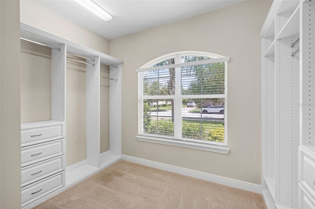 31754 Red Tail Blvd, Sorrento, FL 32776 - spacious closet featuring light carpet