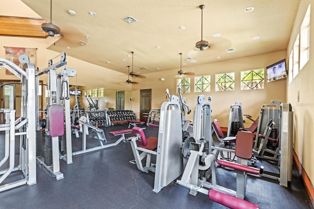 31754 Red Tail Blvd, Sorrento, FL 32776 - gym featuring healthy amount of natural light, ceiling fan, and recessed lighting