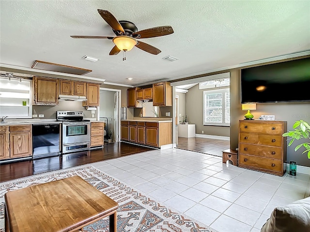 171 Stanley Bell Dr, Mount Dora, FL 32757 - photo 9