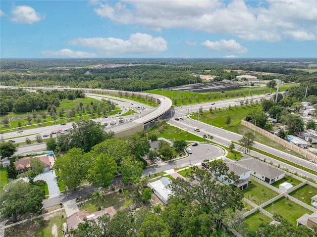 171 Stanley Bell Dr, Mount Dora, FL 32757 - photo 46