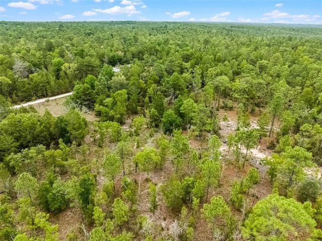 145 19th St, Interlachen, FL 32148