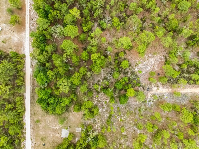 145 19th St, Interlachen, FL 32148